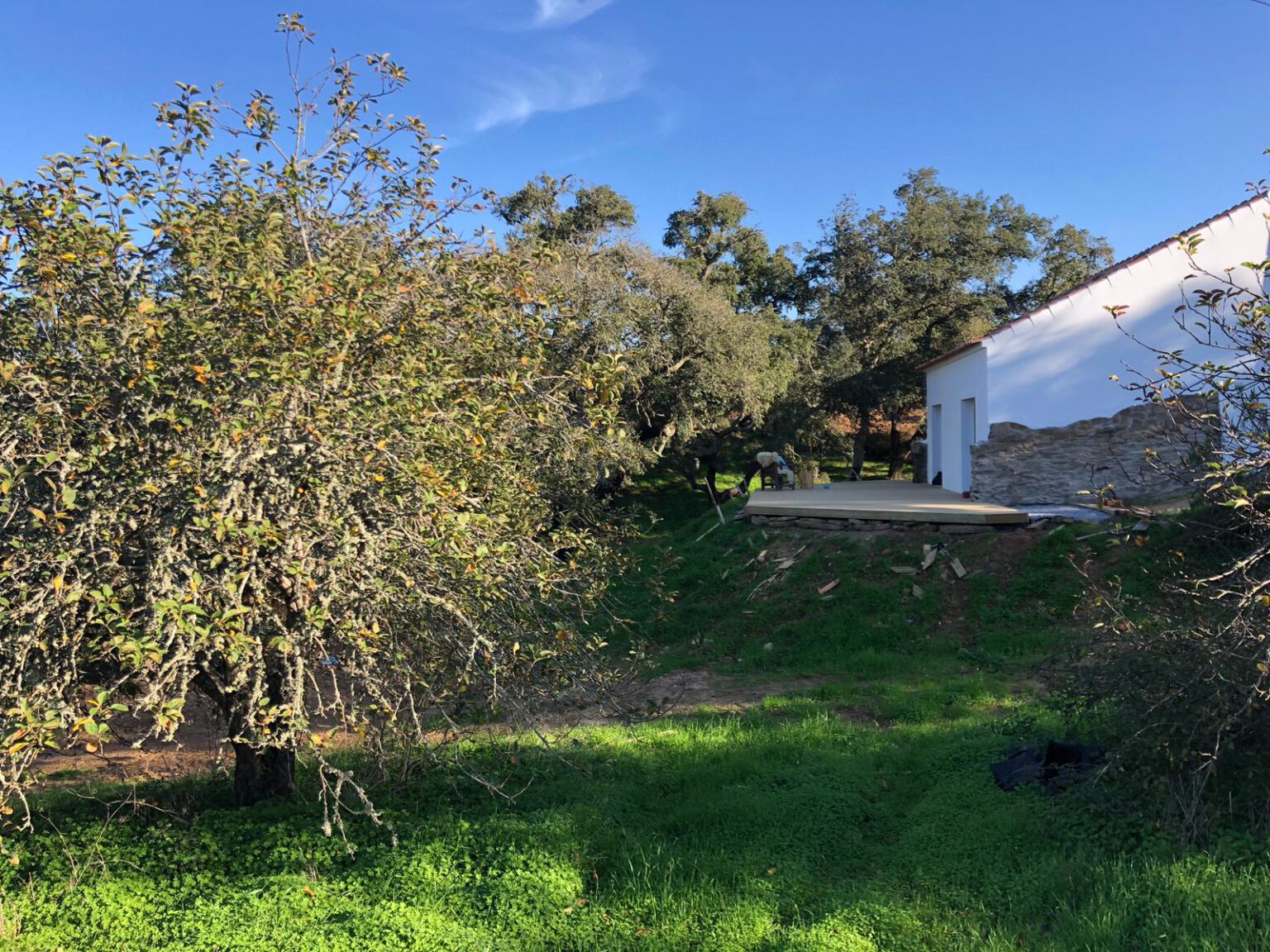 The Pachawa land looking out over the Alentejo valley